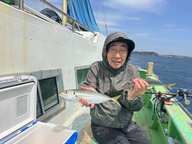 アジ(マアジ)
