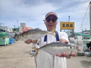 アジ(マアジ)
