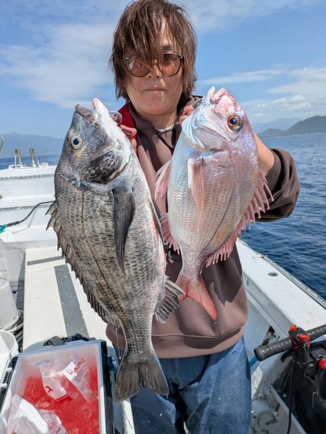 マダイ・クロダイ