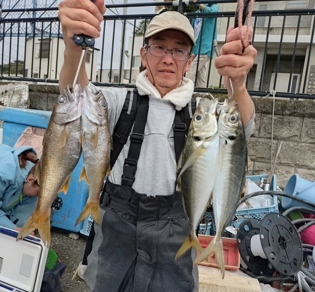 アジ(マアジ)・クロムツ