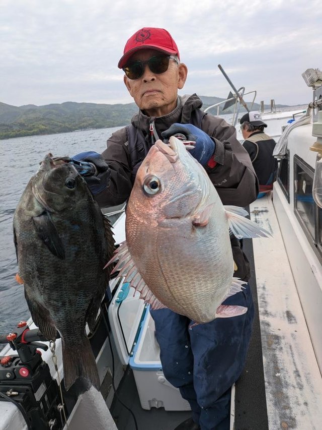 マダイ・メジナ