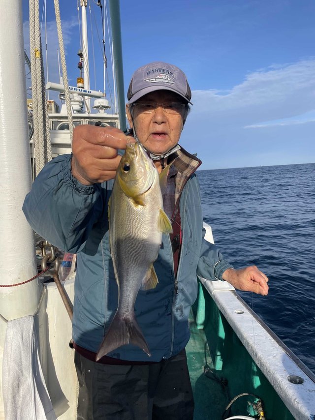 イサギ(イサキ)