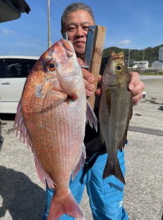 マダイ・イサキ