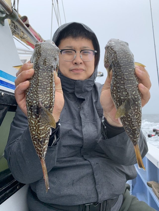 ショウサイフグ