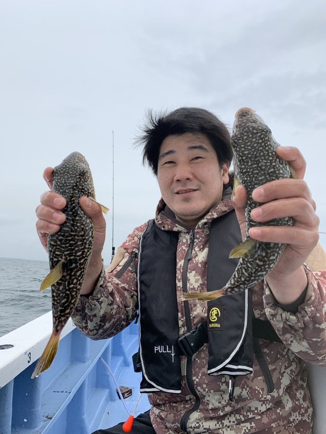 ショウサイフグ