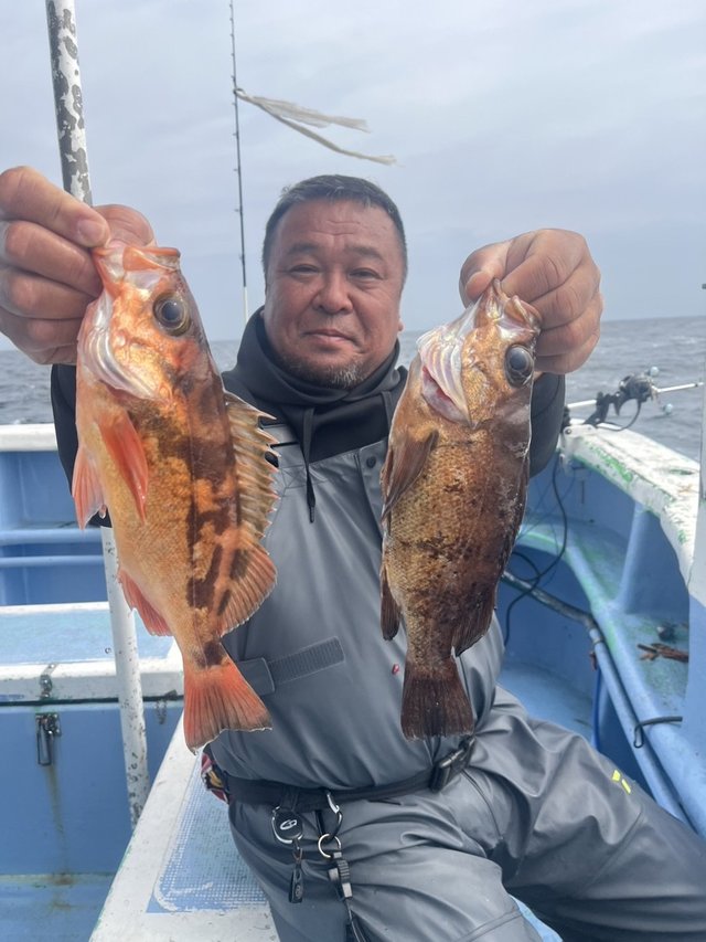 メバル