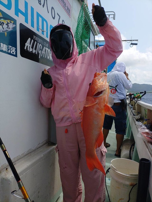 アカジン(スジアラ)