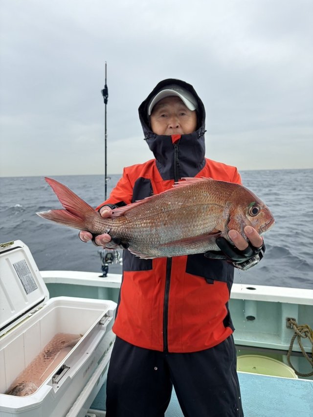マダイ