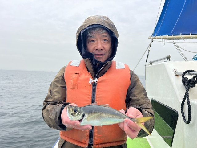アジ(マアジ)