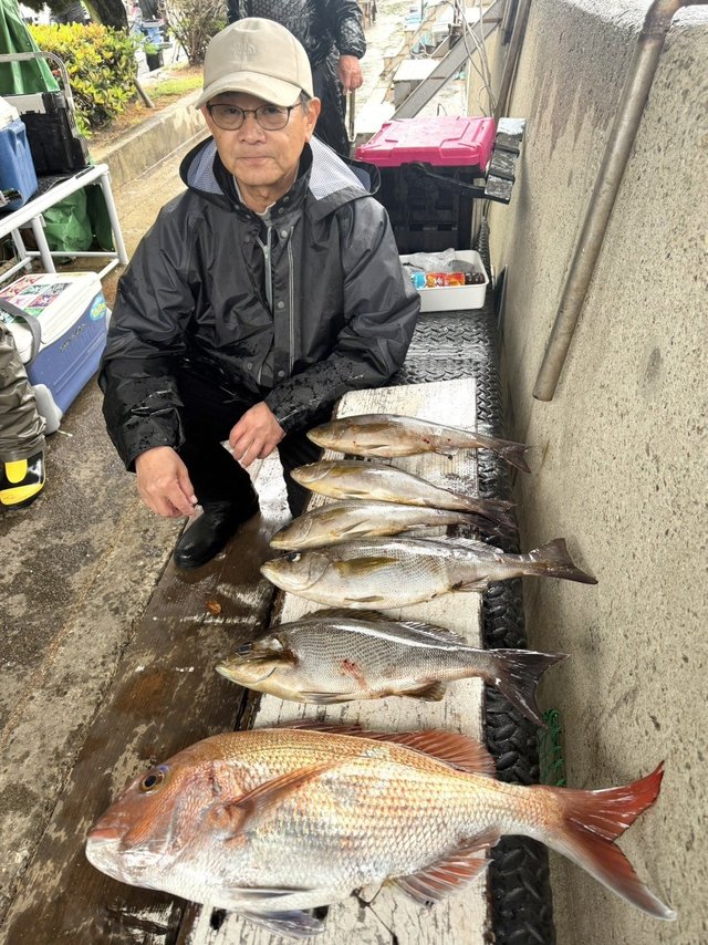 マダイ・イサギ(イサキ)