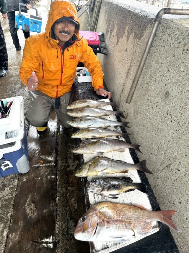 マダイ・イサギ(イサキ)・メバル