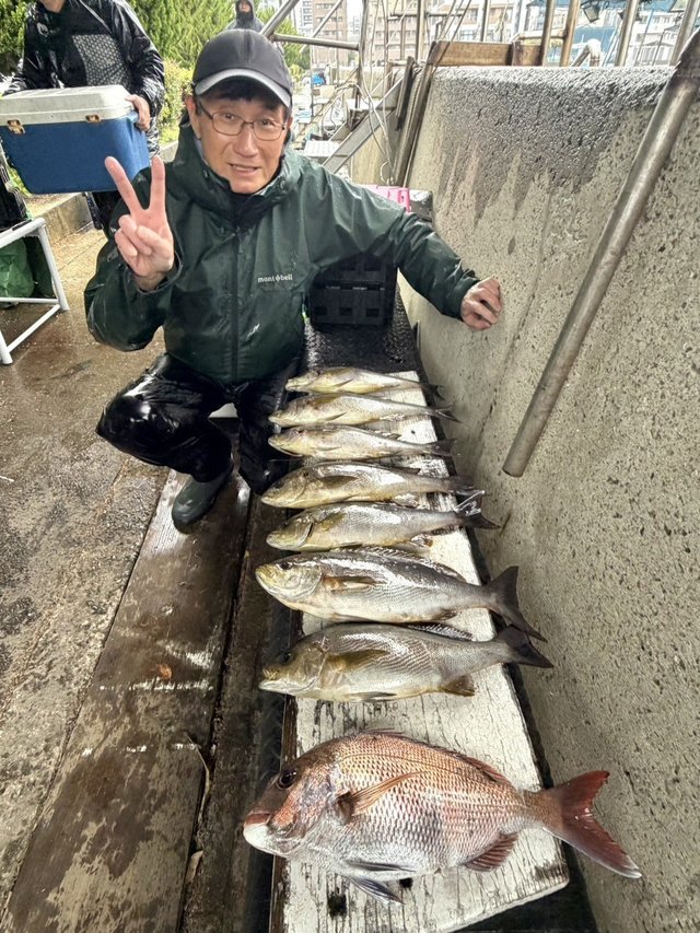 マダイ・イサギ(イサキ)・メバル