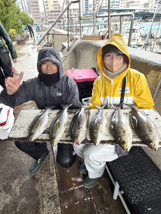 イサギ(イサキ)