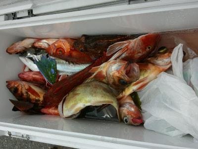 アカメバル(ウスメバル)