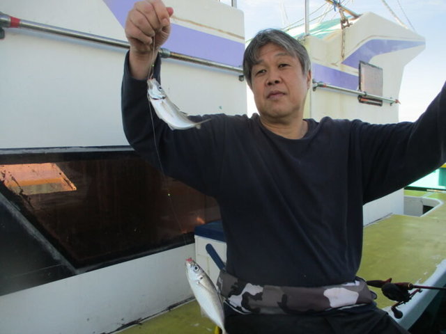 アジ(マアジ)