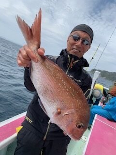 マダイ