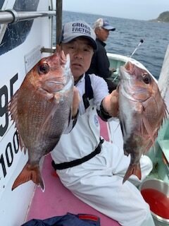 マダイ