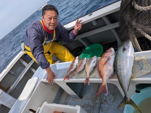 マダイ・イナダ(ブリ)