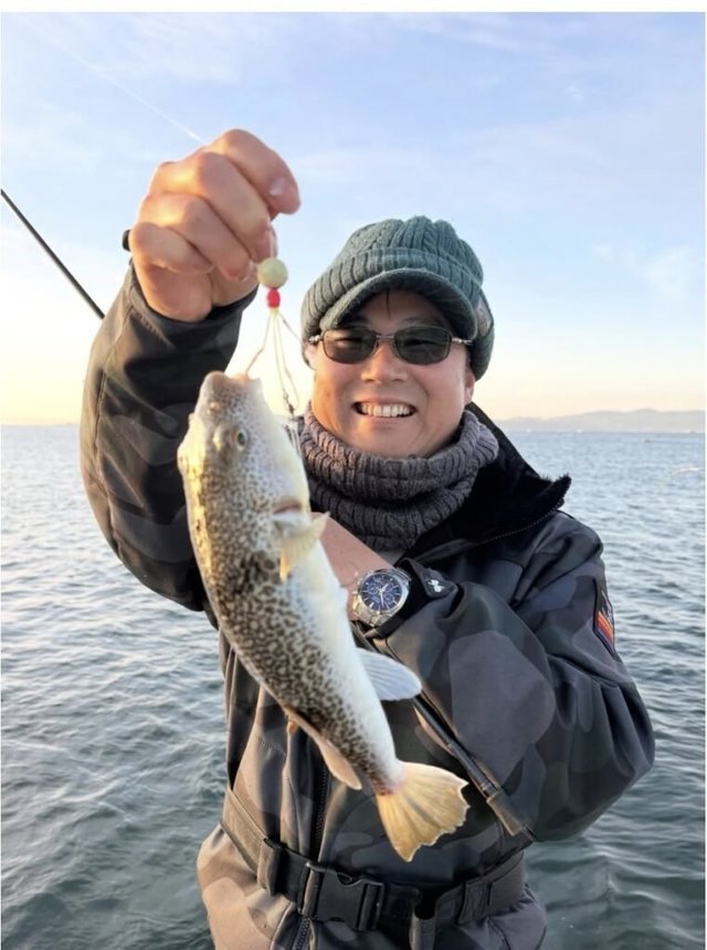ショウサイフグ