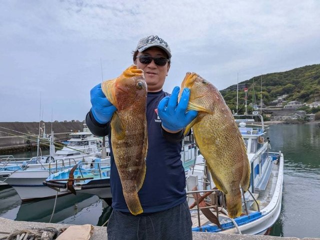 アオハタ