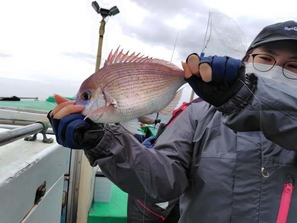 ハナダイ(チダイ)