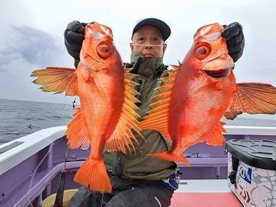 キントキ(チカメキントキ)