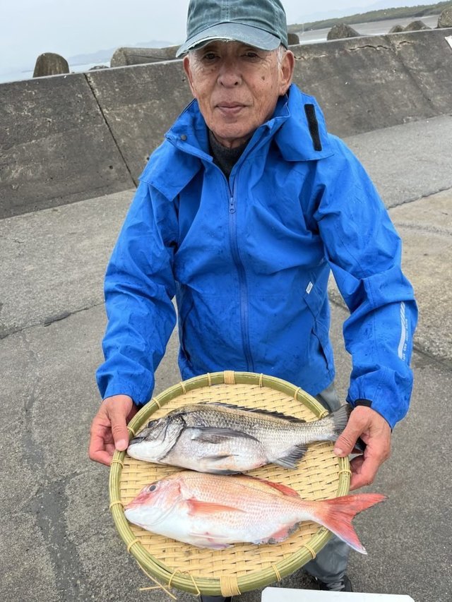 マダイ・クロダイ