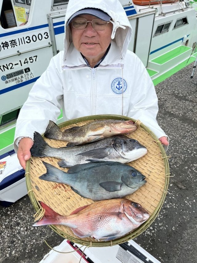 マダイ・クロダイ・メジナ・イナダ(ブリ)