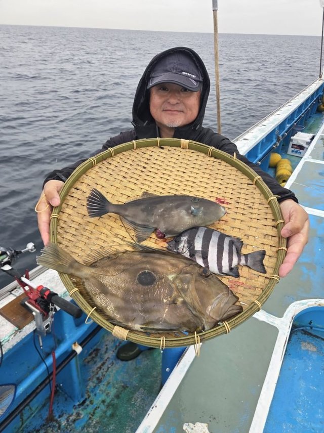 イシダイ・ウマヅラハギ・マトウダイ