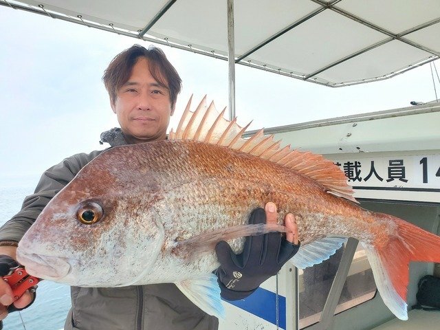 マダイ