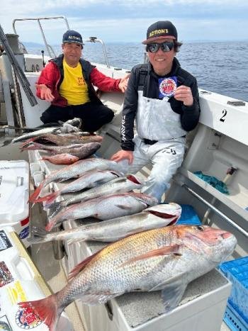 マダイ・シーバス(スズキ)