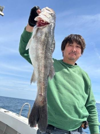 シーバス(スズキ)