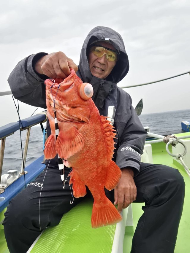 アコウダイ