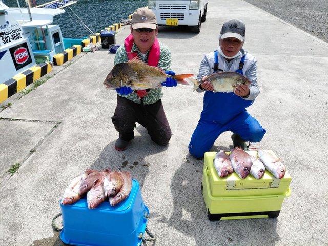 マダイ・カイワリ