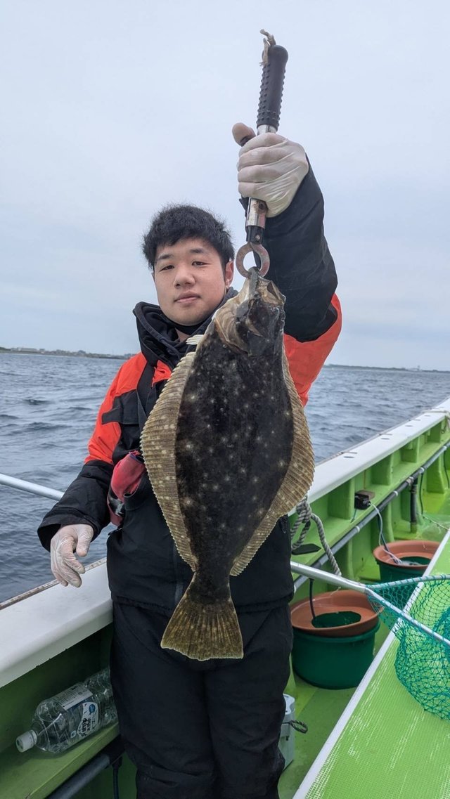 ヒラメ