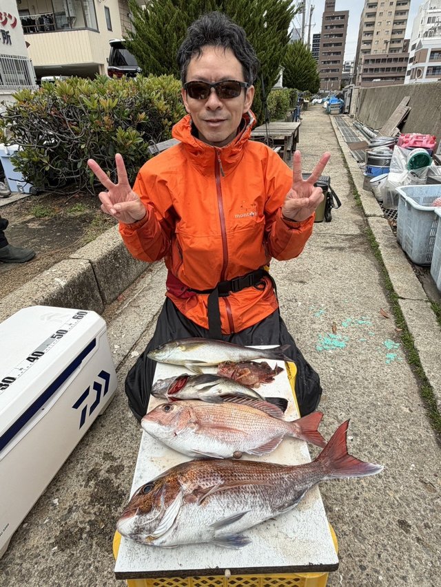 マダイ・イサギ(イサキ)・ガシラ(カサゴ)