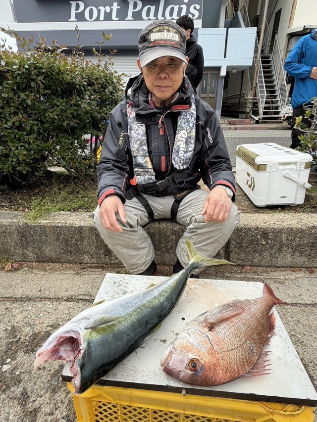 マダイ・ハマチ(ブリ)