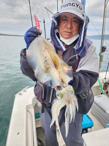 アオリイカ