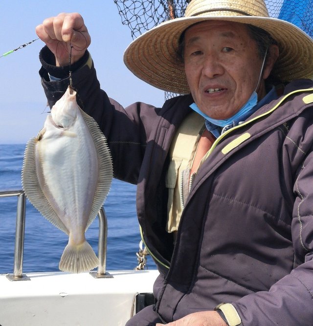 カレイ(マコガレイ)