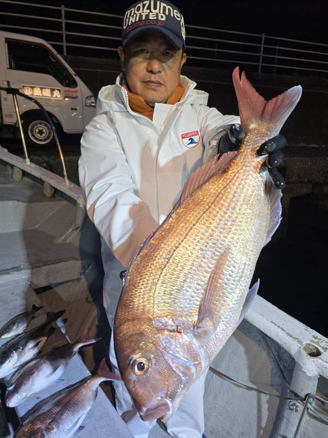 マダイ