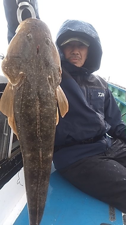 マゴチ