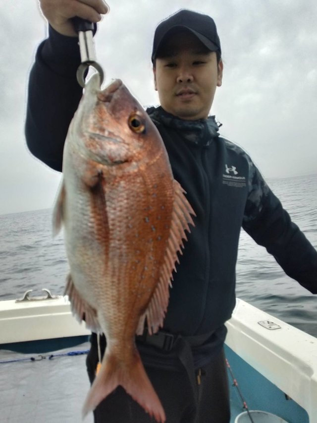 マダイ