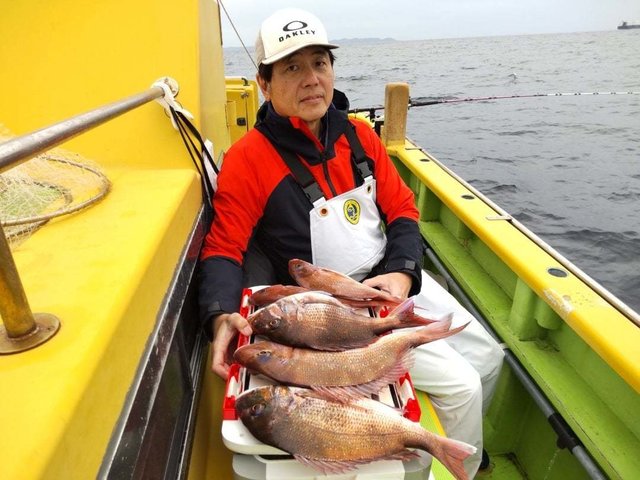 マダイ
