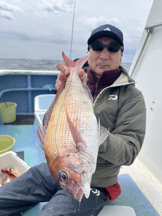 マダイ