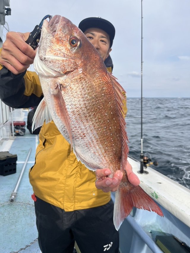 マダイ