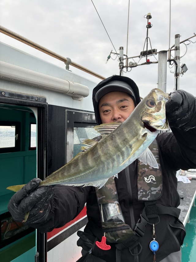 マアジ