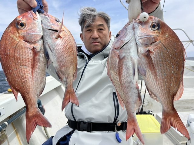 マダイ