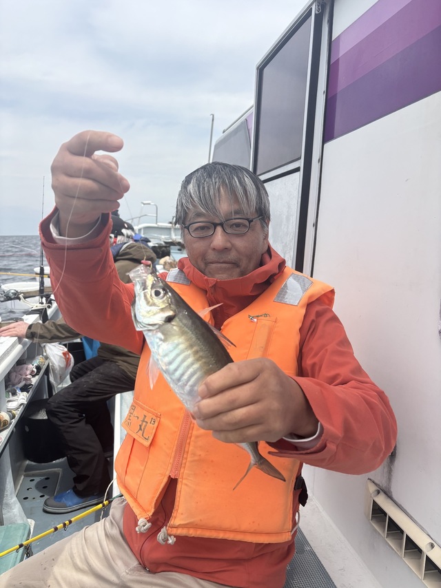 アジ(マアジ)