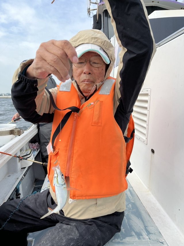 アジ(マアジ)