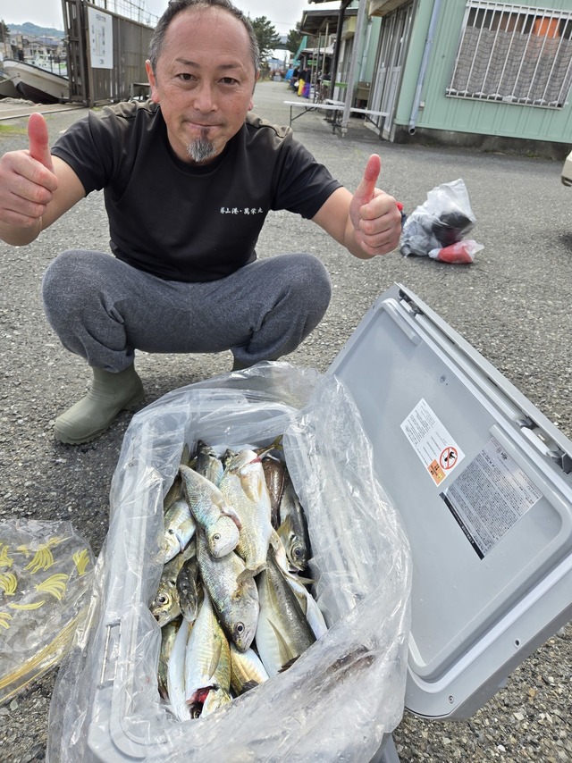 アジ(マアジ)